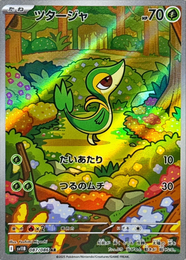 ツタージャ【AR】