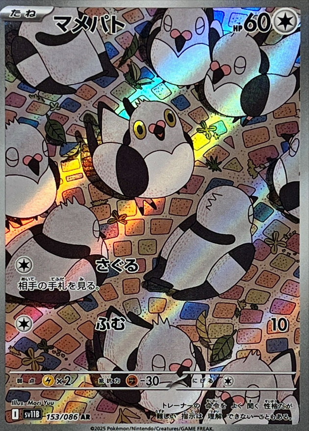 マメパト【AR】