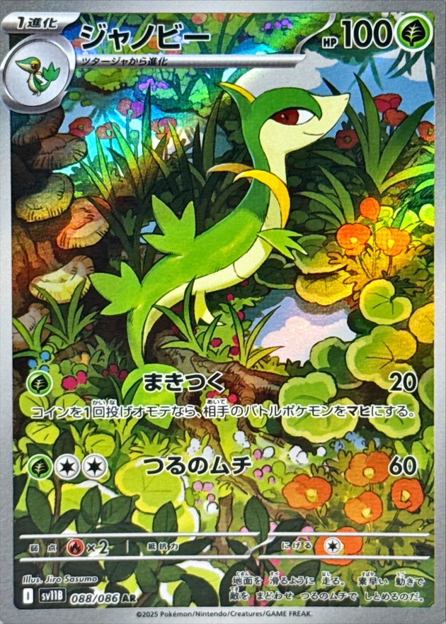 ジャノビー【AR】