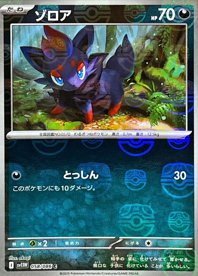 ゾロア(マスターボールミラー)【C】